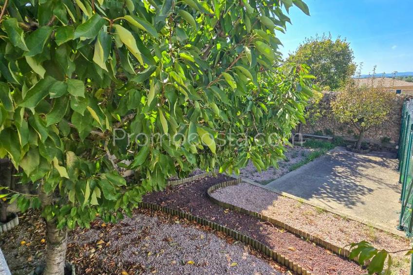 Albons, Àmplia casa amb local comercial i jardí privat a Albons 