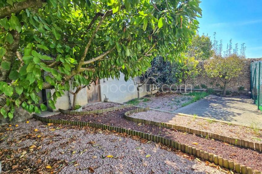 Albons, Àmplia casa amb local comercial i jardí privat a Albons 