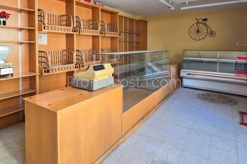 Albons, Àmplia casa amb local comercial i jardí privat a Albons 